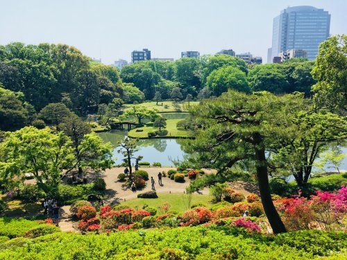 六義園の画像