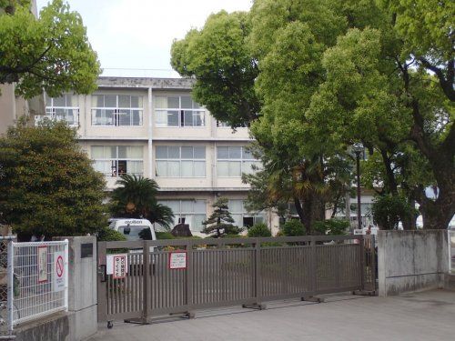 静岡市立千代田小学校の画像