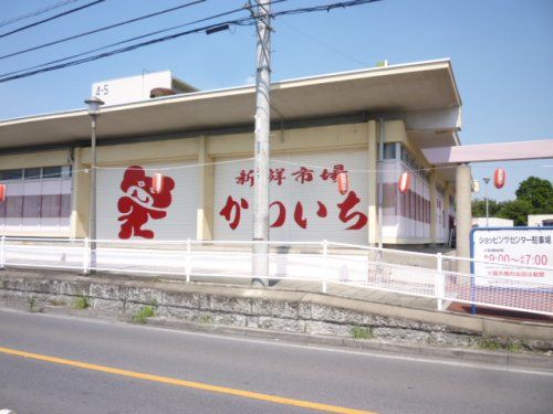 かわいち 尾山台店の画像