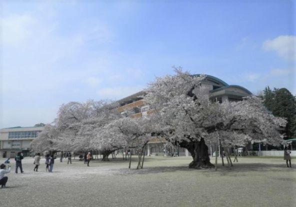 土浦市立真鍋小学校の画像