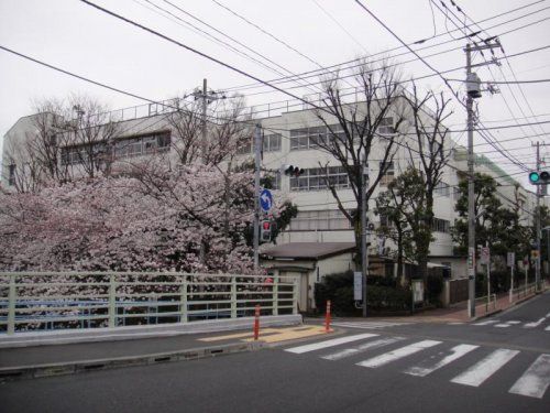 板橋区立中根橋小学校の画像