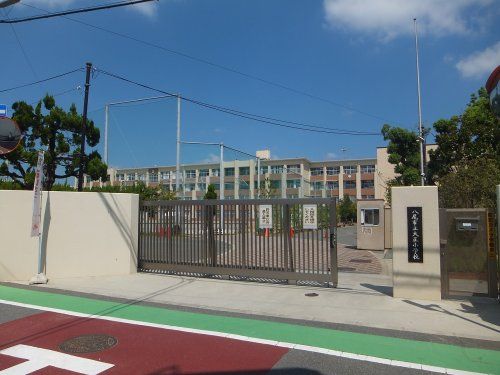 八尾市立　大正小学校の画像