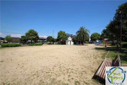 大中公園の画像