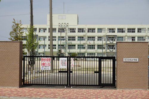 福岡市立多々良小学校の画像