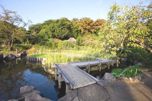 馬場花木園の画像