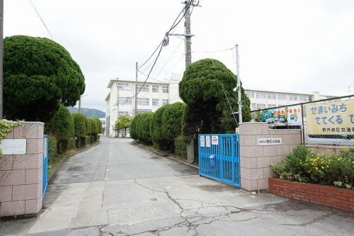 福岡市立野芥小学校の画像