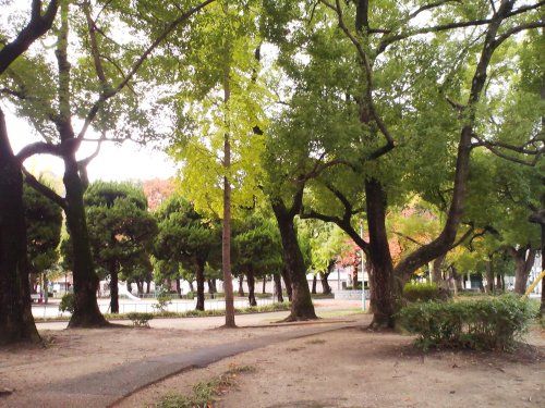 浦江公園の画像