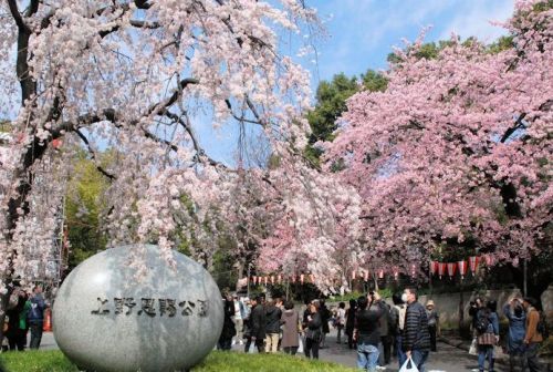 上野恩賜公園の画像