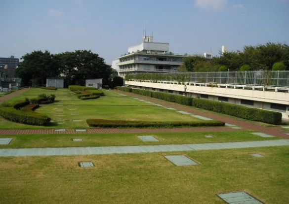 落合中央公園の画像