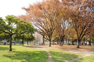 都立青山公園の画像