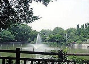 碑文谷公園の画像