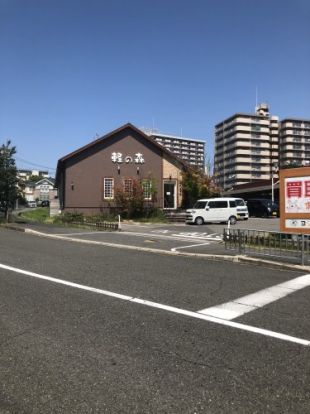 軽の森　泉北店の画像