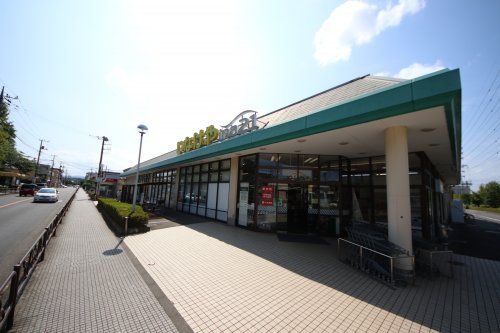 いなげや ina21 羽村富士見平店の画像