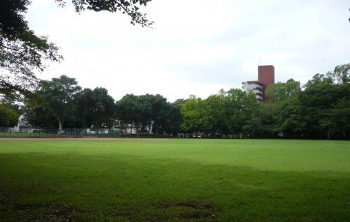 手代木公園の画像