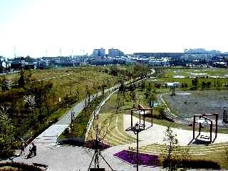 早渕公園の画像