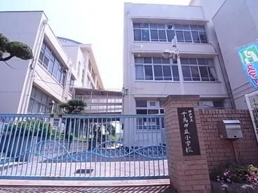 神戸市立千鳥が丘小学校の画像