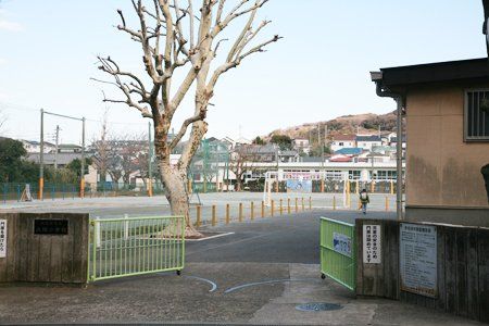 大楠小学校の画像