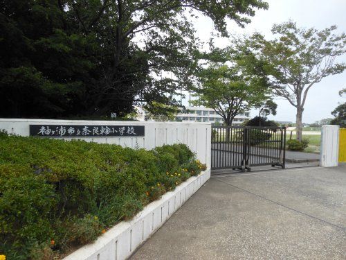 奈良輪小学校の画像