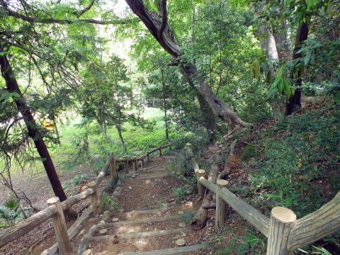 秋津公園の画像