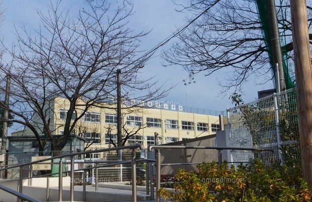 中野区立桃花小学校の画像