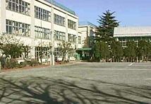 杉並区立和田小学校の画像