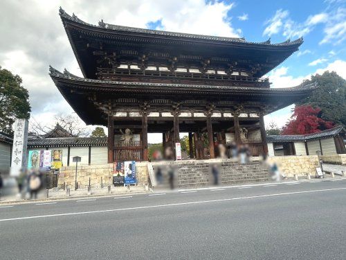 仁和寺の画像