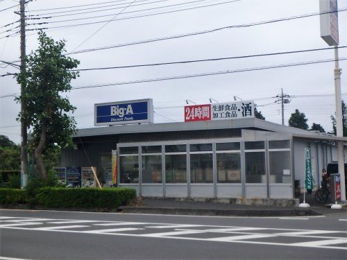 ビッグ･エー さいたま芝原店の画像