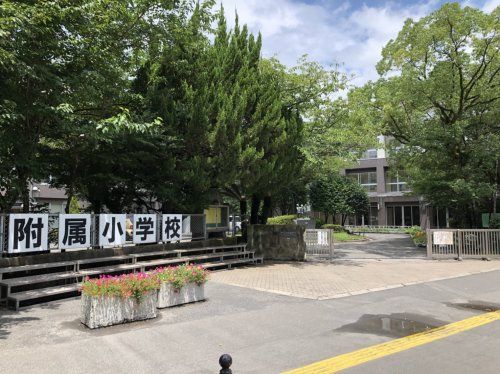 国立鹿児島大学教育学部附属小学校の画像