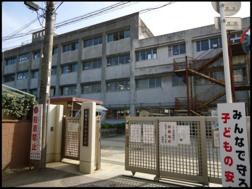 松原市立中央小学校の画像