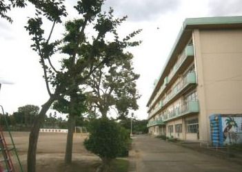 坂戸市立上谷小学校の画像