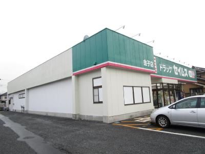 ドラッグセイムス 金子店の画像