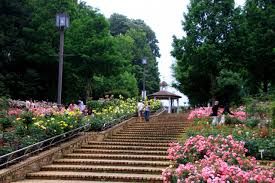 相模原北公園の画像