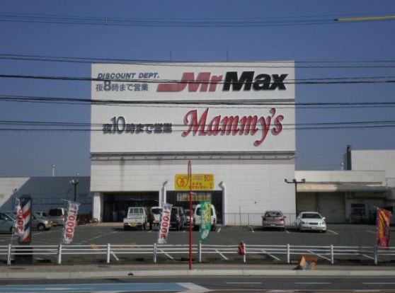 MrMax 久留米インター店の画像