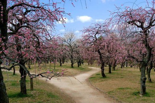 荒山公園の画像