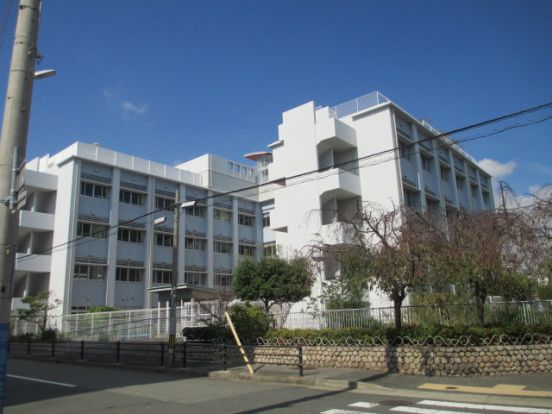 神戸市立駒ヶ林小学校の画像