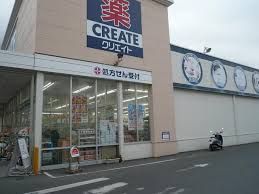 クリエイトSD(エス・ディー) 秦野寿町店の画像