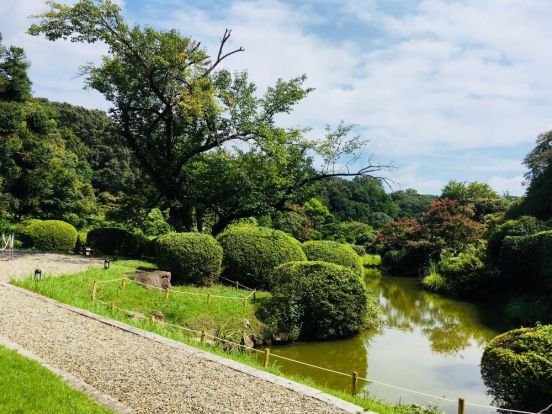 小石川植物園の画像