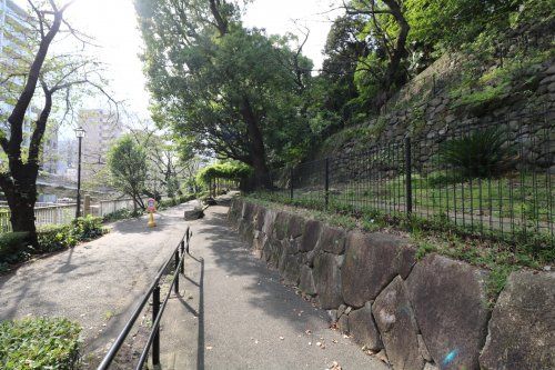 江戸川公園の画像