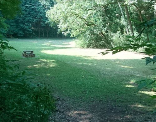 都立滝山自然公園の画像