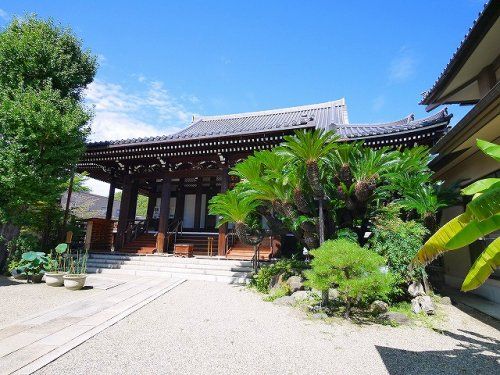 淨教寺（上三条町）の画像