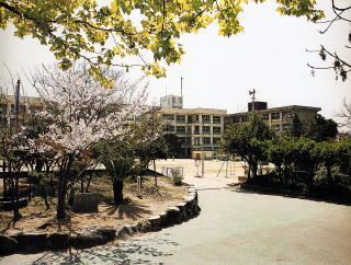 明石市立朝霧小学校の画像