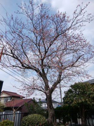 亀井公園の画像