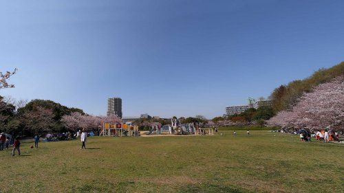  西神中央公園の画像