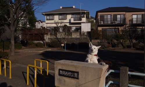 舞岡西根公園の画像