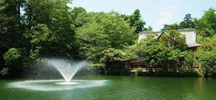 都立井の頭公園の画像