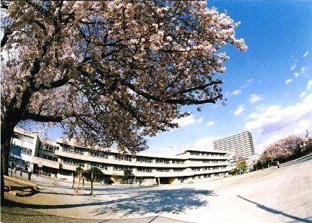 西東京市立田無小学校の画像