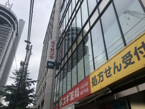 サイゼリア文京区役所前店の画像