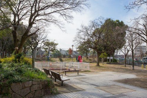 北江口中央公園の画像