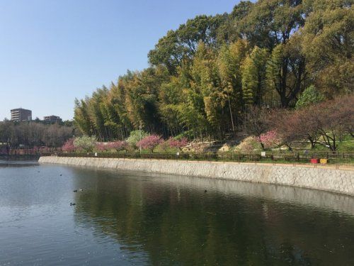 桃山公園の画像