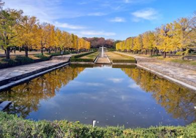 国営昭和記念公園の画像